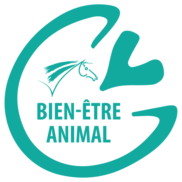 FFE – Logo Ecole Française d'Equitation – Une équitation de ...